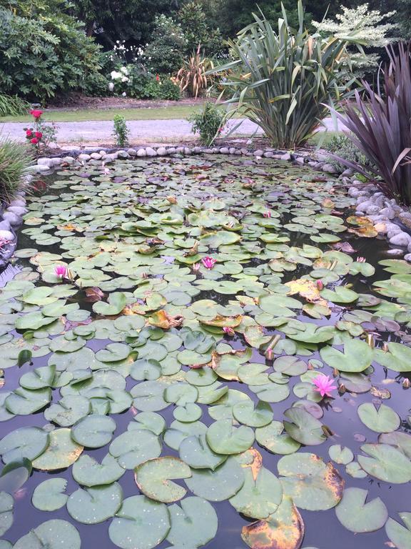 לינה וארוחת בוקר כרייסטצ'רץ' Water Lily Garden מראה חיצוני תמונה